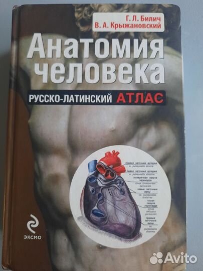 Анатомия человека