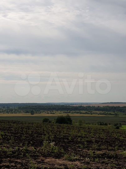 Участок 39 га (СНТ, ДНП)