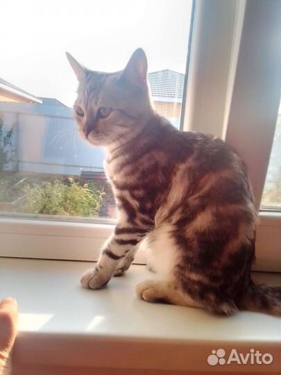 Ремонт пвх окон