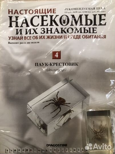 Журналы настоящие насекомые