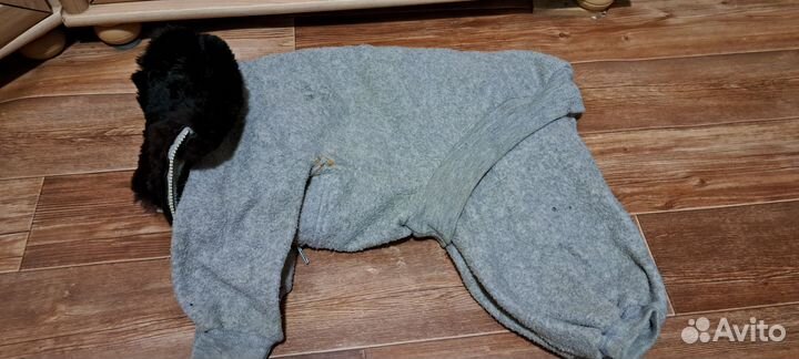 Комбинезон по спине 50-55