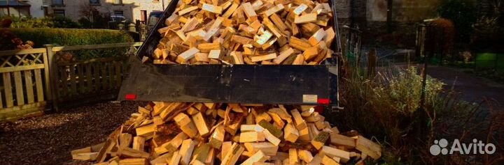 Дрова береза осина