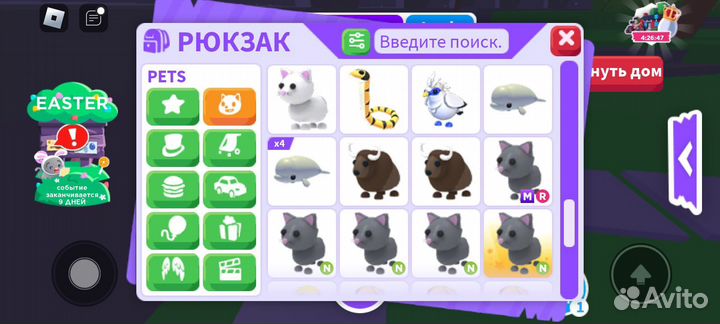 Адопт ми,петы