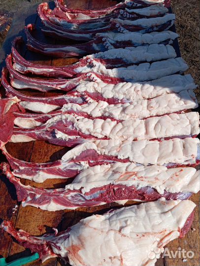 Откорм Лошадей