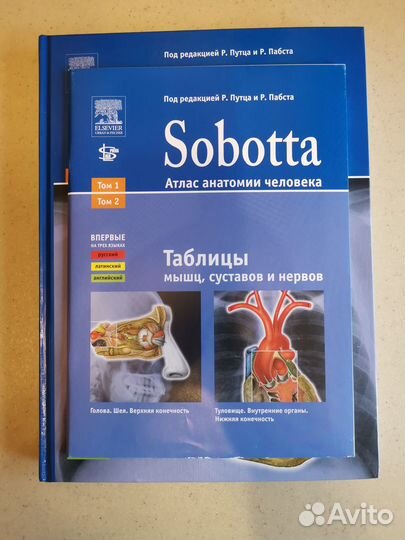 Sobotta атлас анатомии человека Том2
