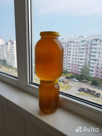 Мед цветочный с рапсом. Бесплатная доставка