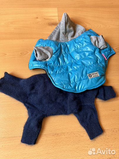 Одежда для собак