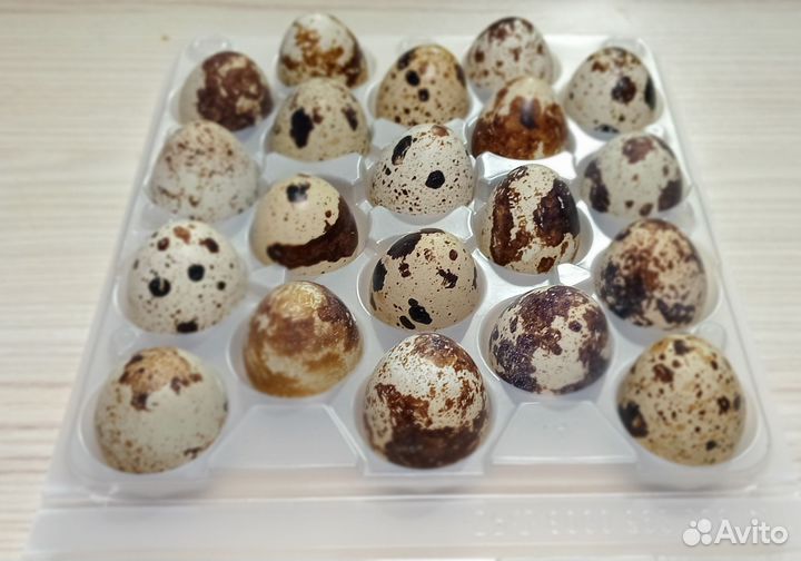 Перепелиные домашние яйца