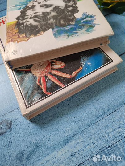 Книга Кусто Паккале