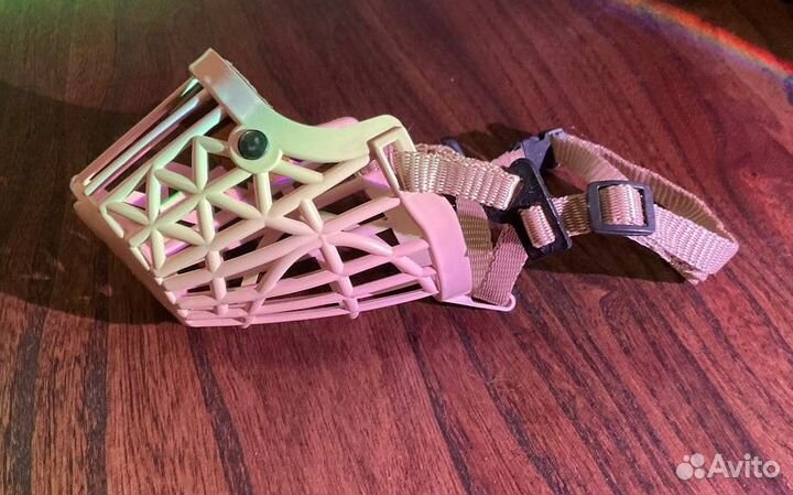 Амуниция и вещи для собаки