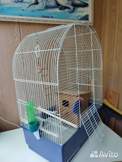 Большая клетка для птиц