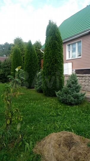 Дом 100 м² на участке 26 сот.