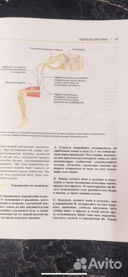 Рожденный ходить