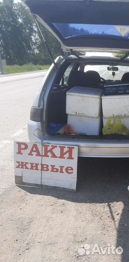 Раки живые. Рыба живая
