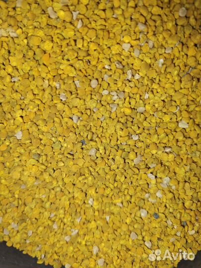 Пыльца обножка мед