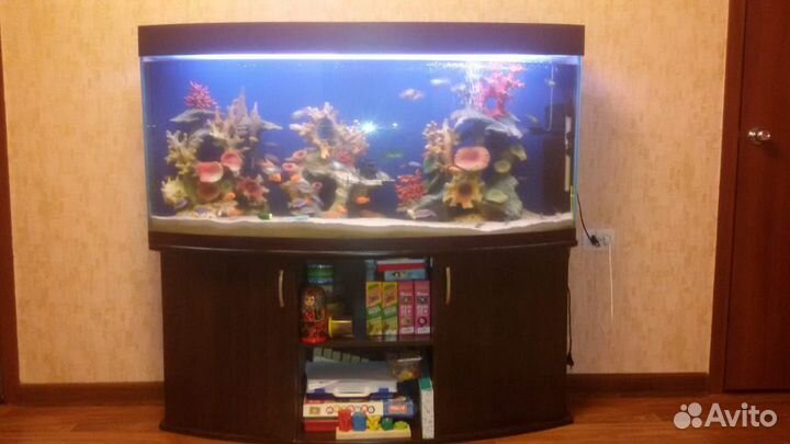 Аквариум 350 литров, со всеми декорациями+тумба