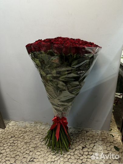 Высокие розы гигантские розы длинные розы