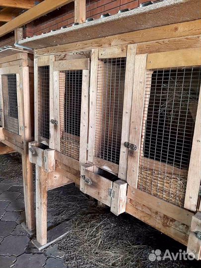 Клетки для кроликов