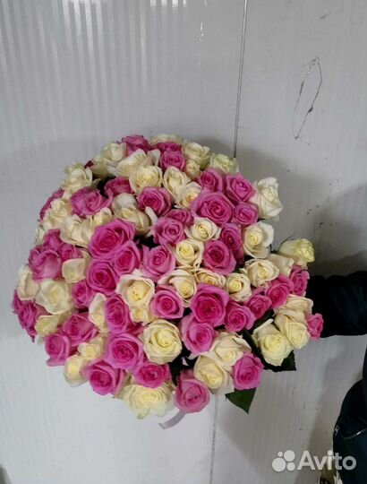 Розы с доставкой, букет роз 101 шт