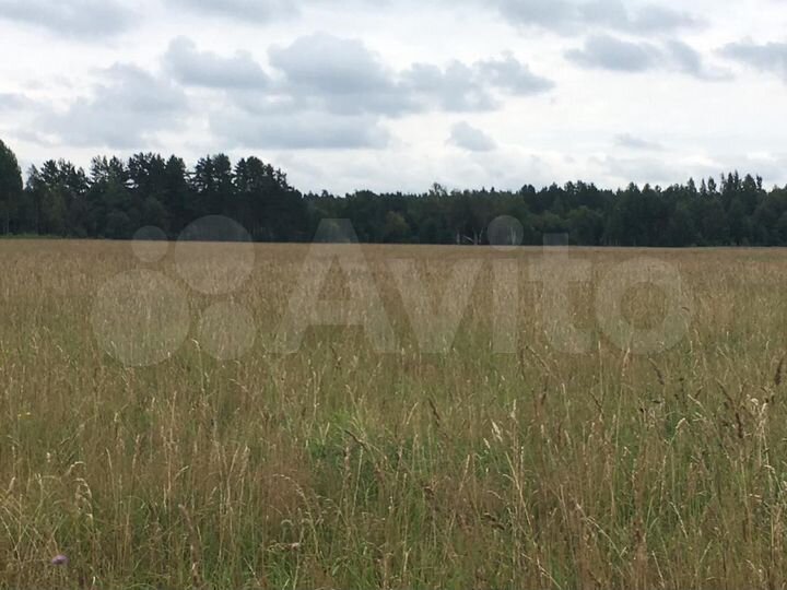 Участок 15 сот. (СНТ, ДНП)