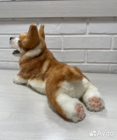 Корги реалистичная игрушка