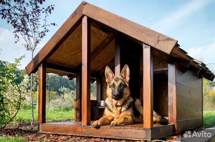 Собачья будка