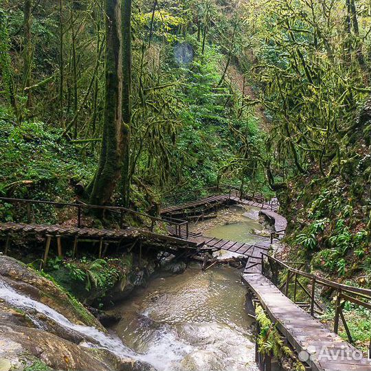 Джиппинг в Сочи на 33 водопада и Ущелье Ведьм