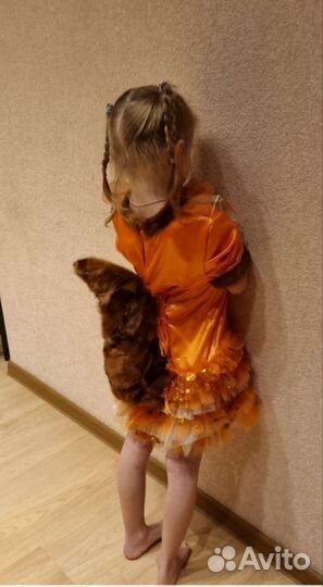 Костюм Белки. Р.116-128 очень красивый