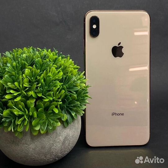 iPhone Xs, 256 ГБ
