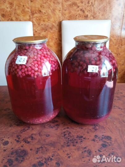 Спатифиллум (женское счастье)