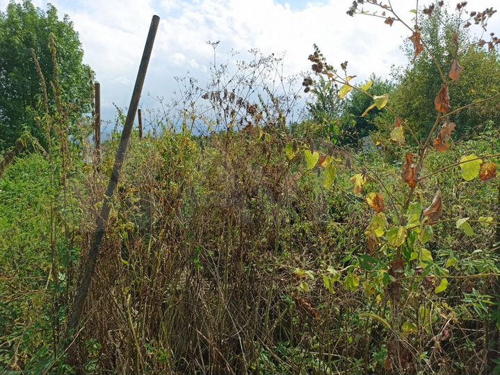 Участок 6,3 сот. (ИЖС)