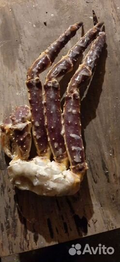 Клешни камчатского краба