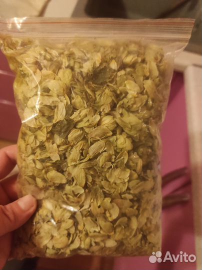 Шишки хмеля