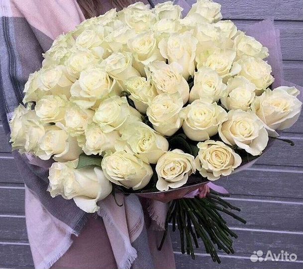 Высокие розы Гигантские розы Доставка цветов