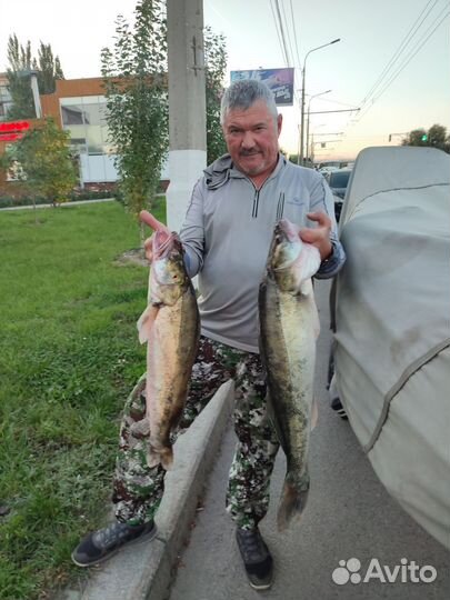 Услуги егеря,гайдинг,рыбалка в Волгоградской обл