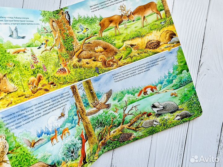 Большие виммельбухи с животными