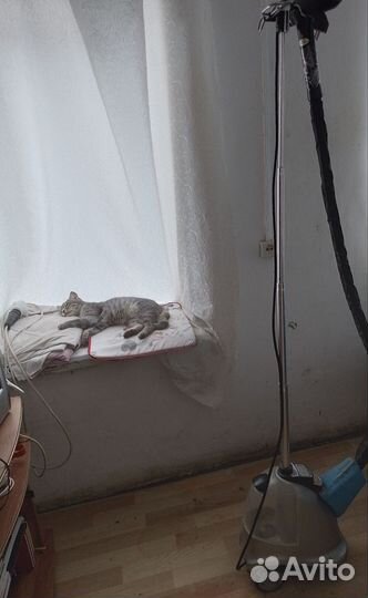 Отпариватель для одежды вертикальный