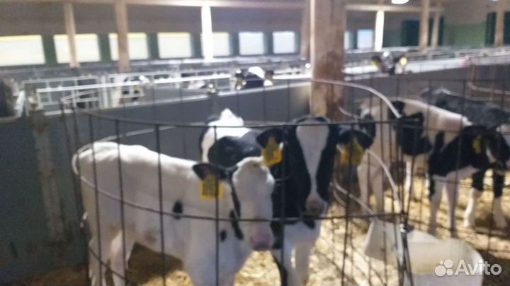 Продаем мрс