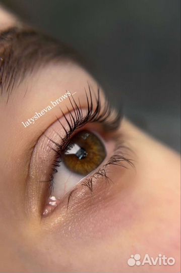 Мастер-бровист