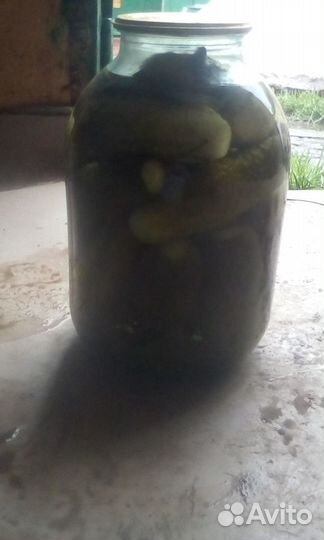 Огурцы соленые.Банка 3 л