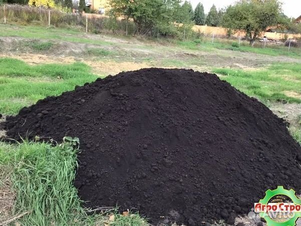 Грунт для газона
