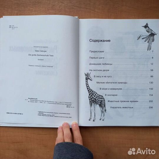 Вальтер Хальбингер 