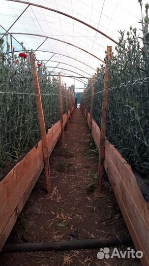 Готовый бизнес