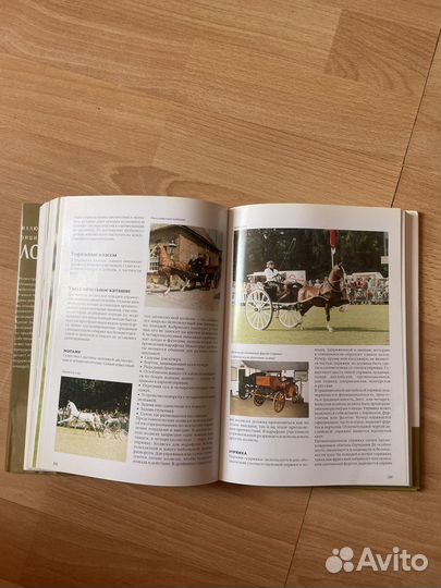 Книга Лошади