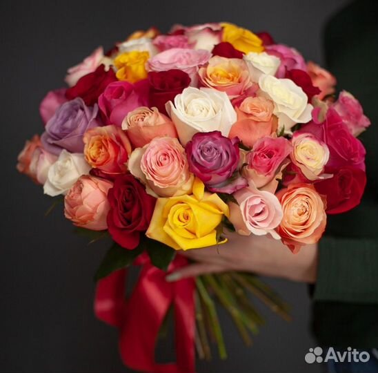 Роза микс экватор