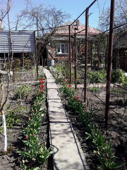 Дом 100 м² на участке 9,3 сот.