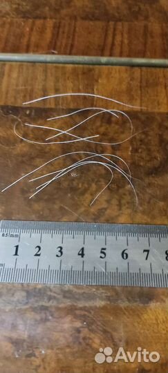 Кошачьи усы