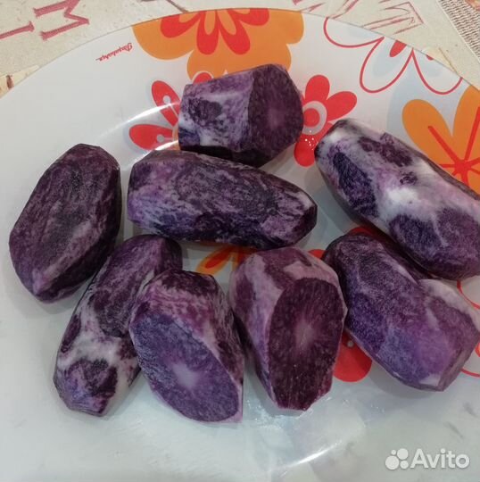 Семенной картофель