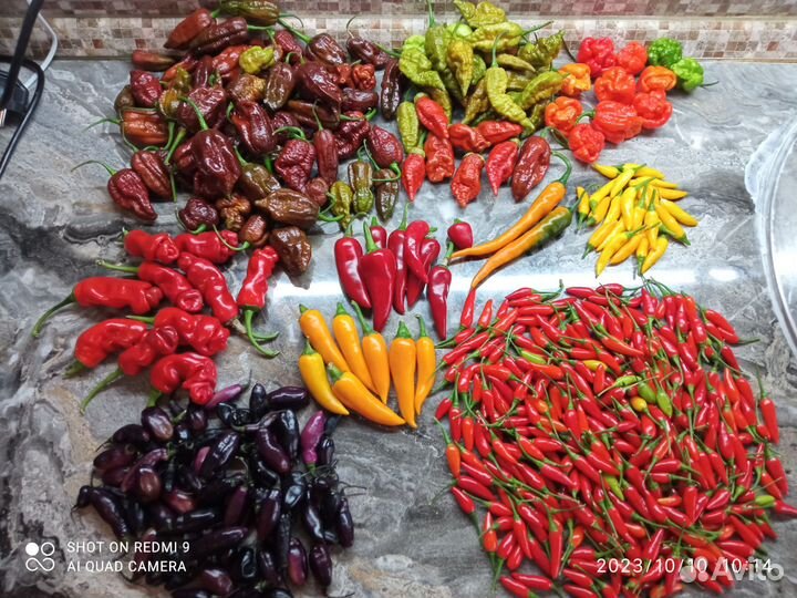 Свежие острые и сверхострые перчики