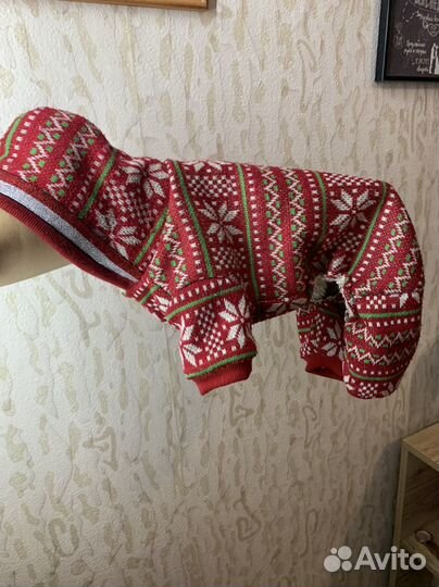 Вещи пакетом для собачки